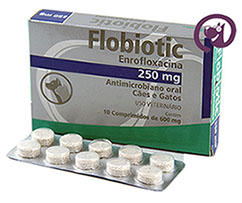 Imagem Flobiotic 250mg 10 comprimidos
