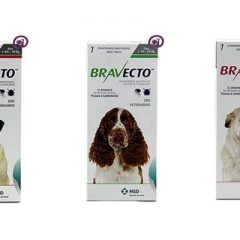Bravecto 3 meses proteção antipulgas e carrapatos