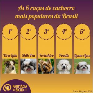 racas-mais-populares-brasil