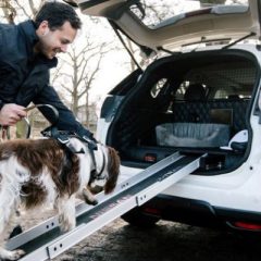 Nissan lança X-Trail especial para cachorros
