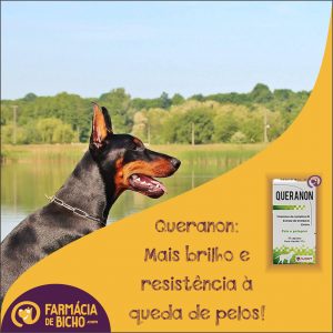 queranon-pele-e-pelos-avert
