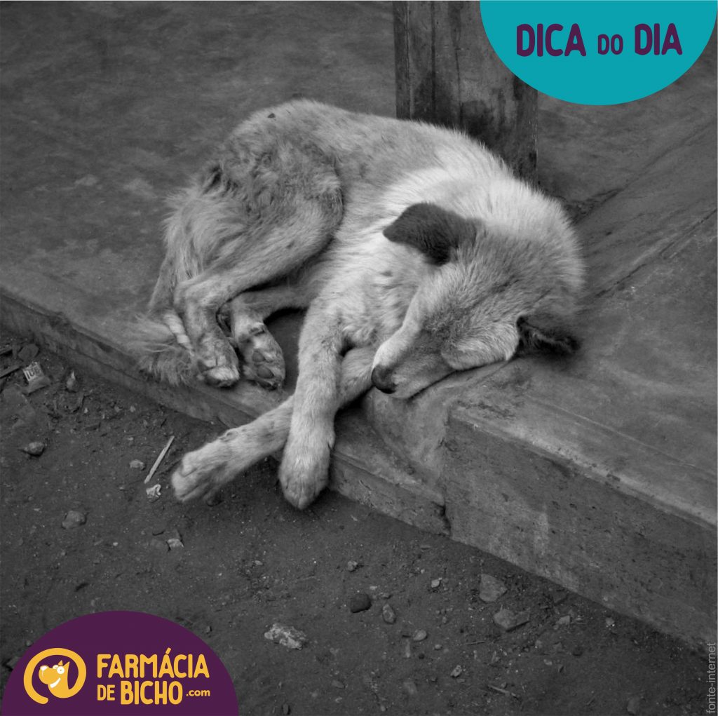 Introducao Ou Abandono De Animais Em Propriedade Alheia